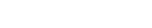 The American University in Cairo